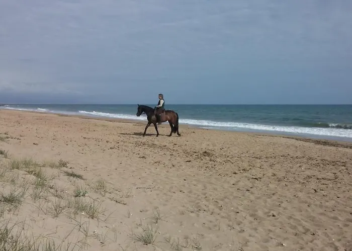 Residencial Apartamento Dénia